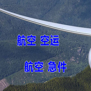 湛江吴川航空货运快递-选东方航空和上海航空